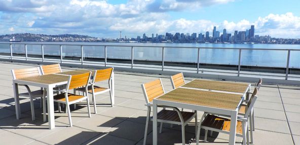 DENALI: 1307 Harbor Ave SW, Seattle, WA 98116